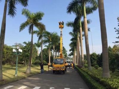 珠海香洲高空車、路燈車與升降車出租服務詳解