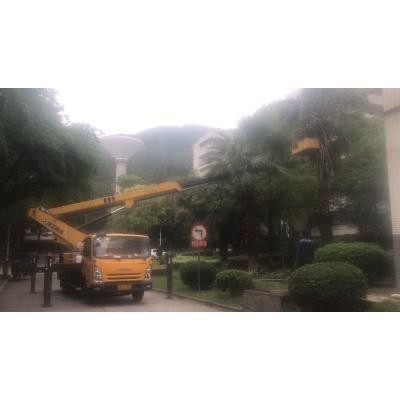 臺山地區升降機與自行走高空車出租行情價格分析